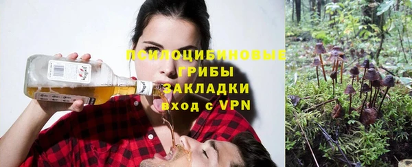 бошки Абаза