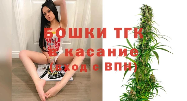 ПСИЛОЦИБИНОВЫЕ ГРИБЫ Алзамай